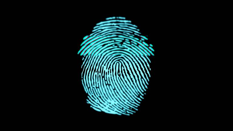 Biometric technology, elections, and privacy