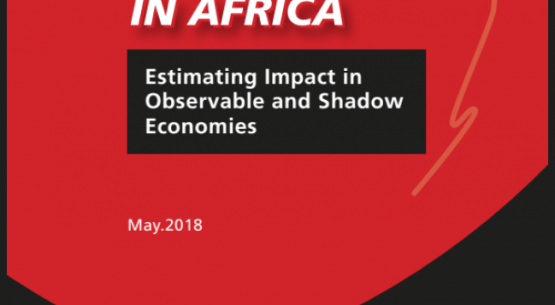 Intentional Internet disruptions in Africa: Estimating impact in observable and shadow economies  