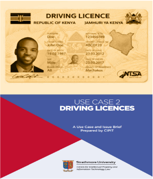 Use Case : Driving Licences