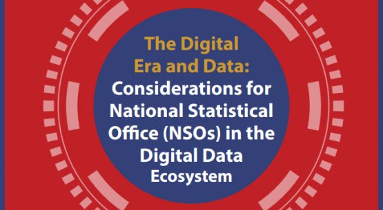 The Digital Era and Data: Considerations for National Statistical Office (NSOs) in the Digital Data Ecosystem