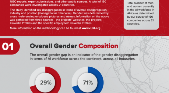 Artificial intelligence : labour gender gap in Africa