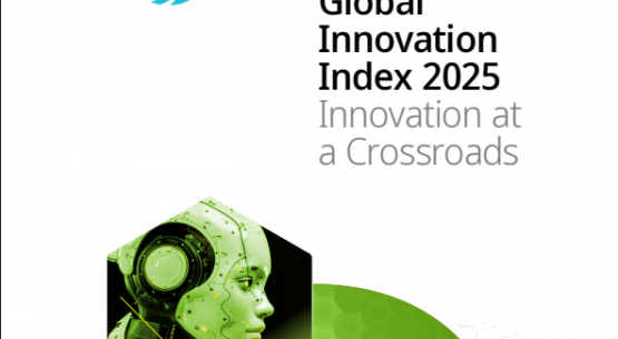 Global Innovation Index 2025:Sub- Saharan Africa’s Ranking