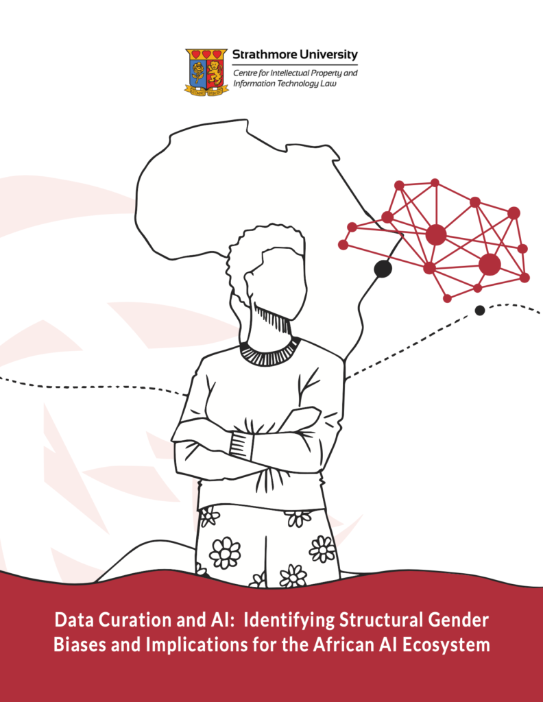 Cover of Data Curation and AI: Identifying Structural Gender Biases and Implications for the African AI Ecosystem