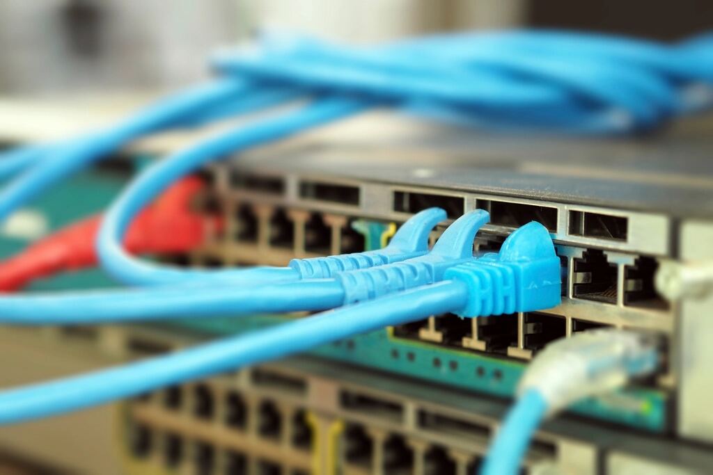 Network cables plugged into a switch